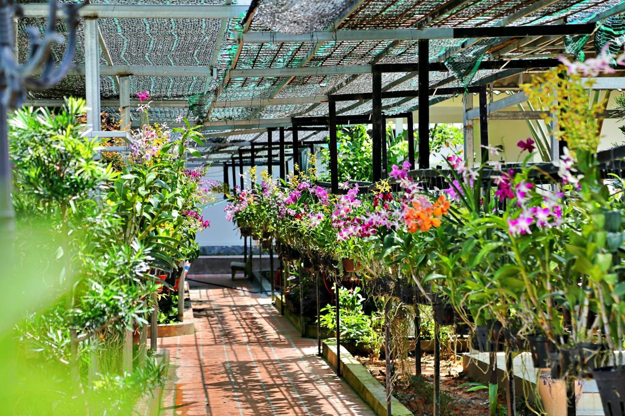 881 Lam Ha Pool Resort Phu Quoc Luaran gambar